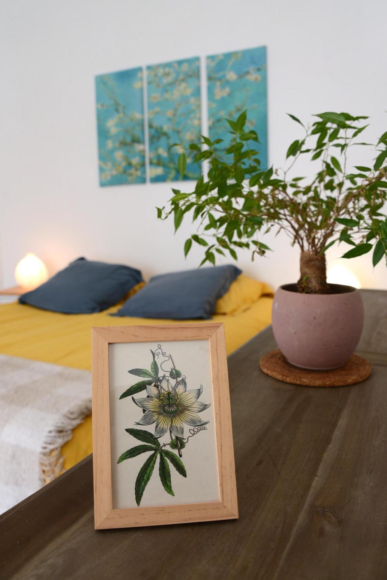 Le Pied-A-Terre Du Botaniste Apartment Hauteville-Lompnes Ngoại thất bức ảnh